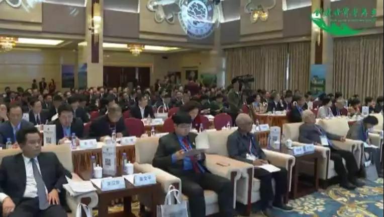 达信雅为认证暨2019“福泽大埔·寿度千秋”高端论坛提供日语翻译服务